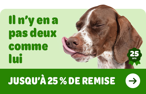 Il n'y en a pas deux comme eux ! Jusqu'à 25 % de remise