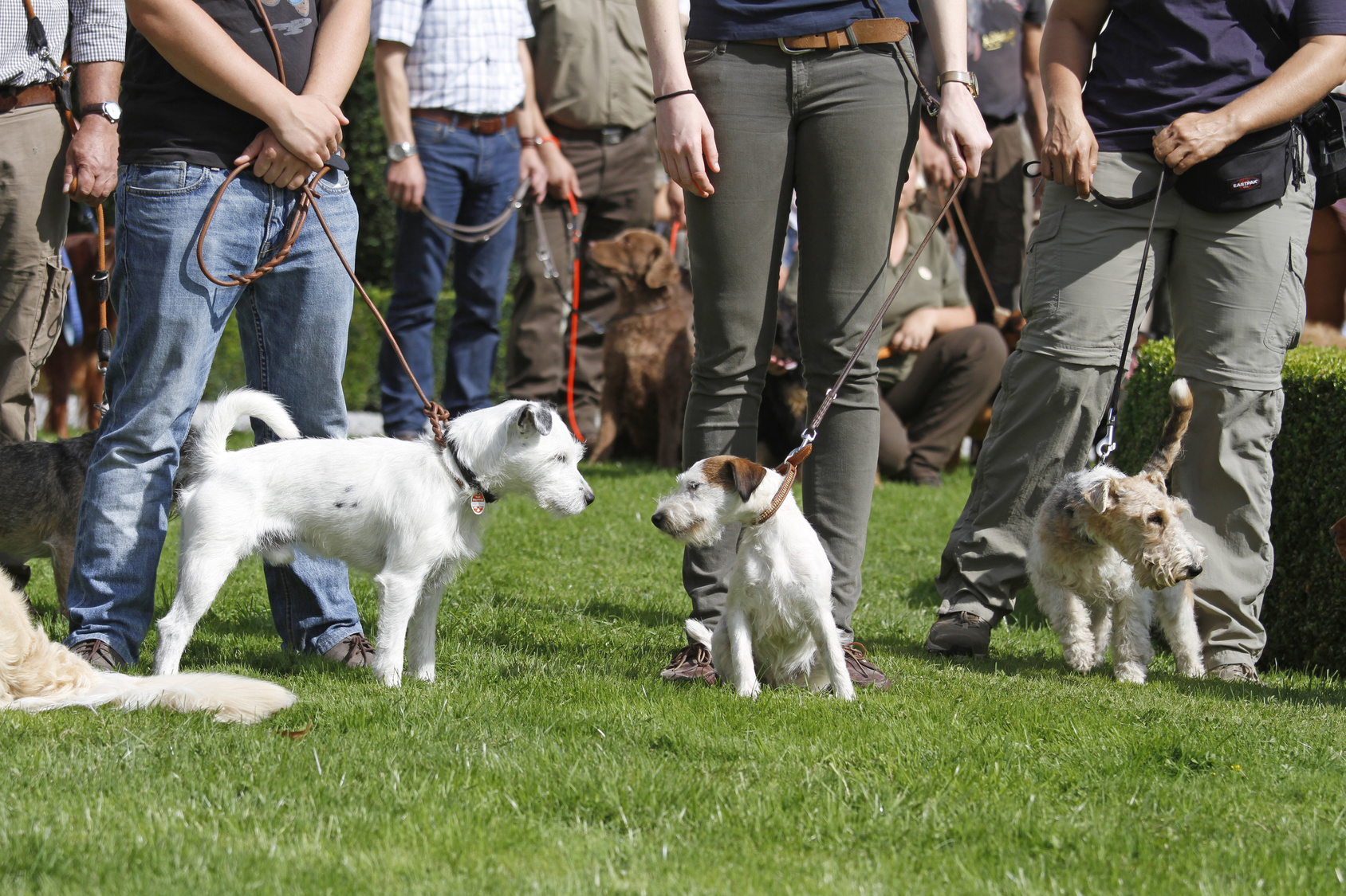 hundeschule