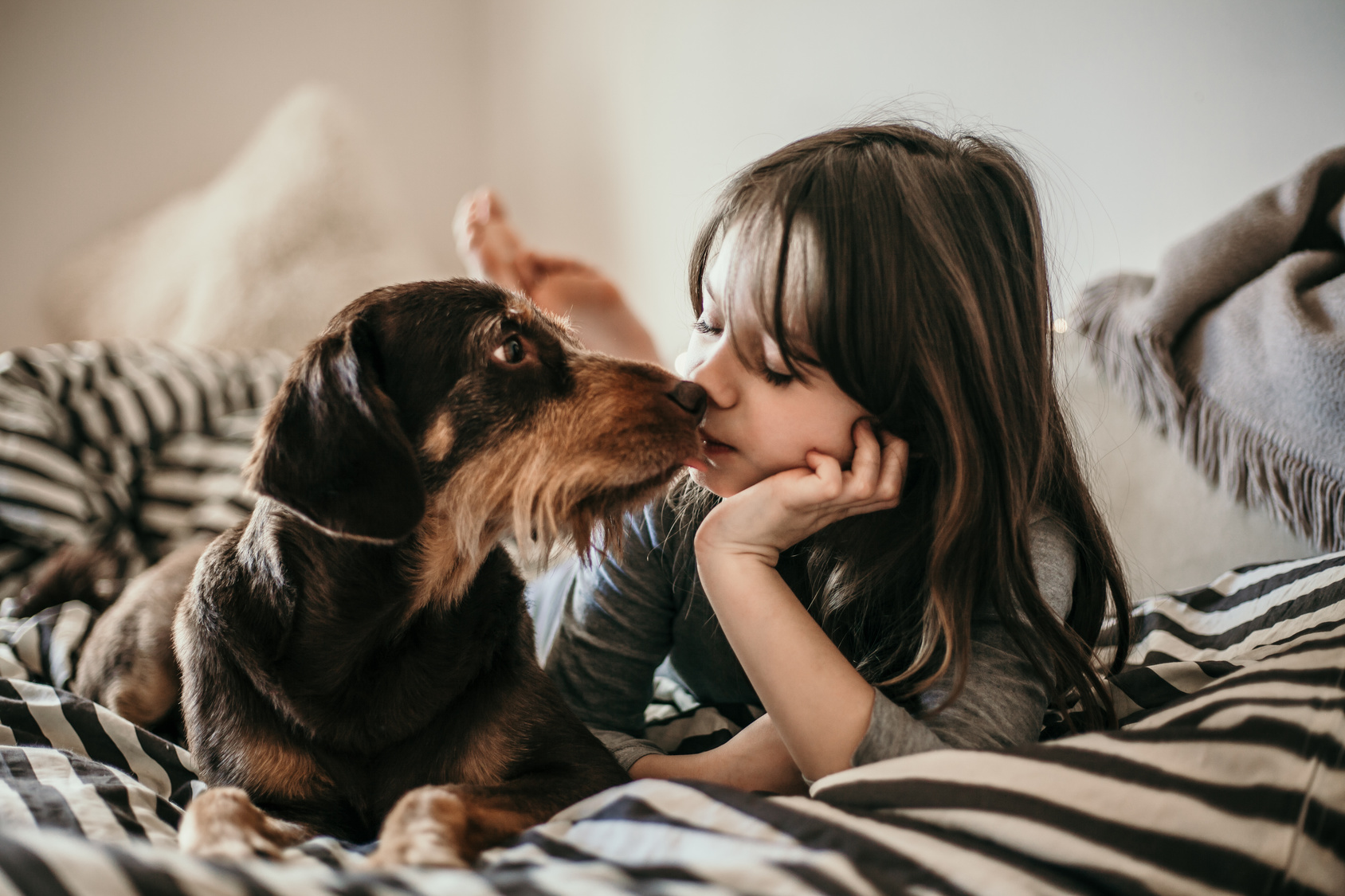 Hund im Bett schlafen lassen