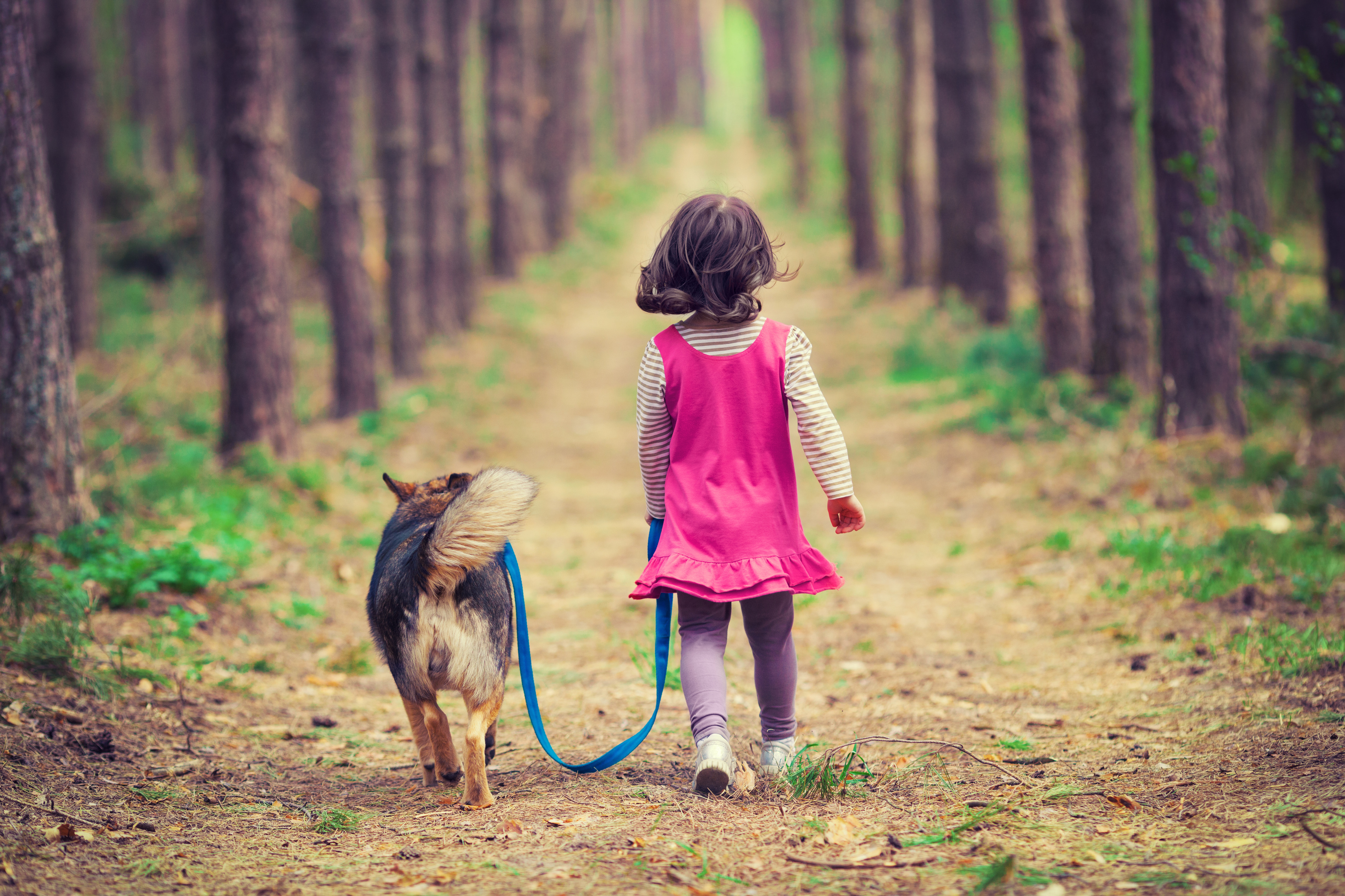 hund mit mädchen