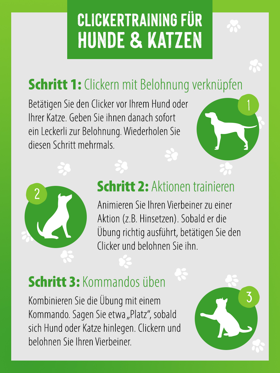 Zeichnung Hund Katze Clicker